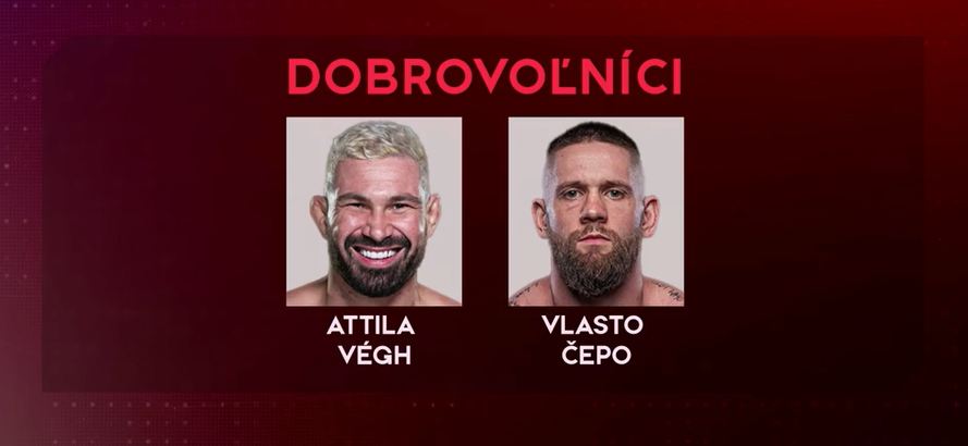 mma 